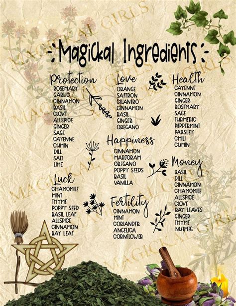 The Healing Power of Plants in Witchcraft